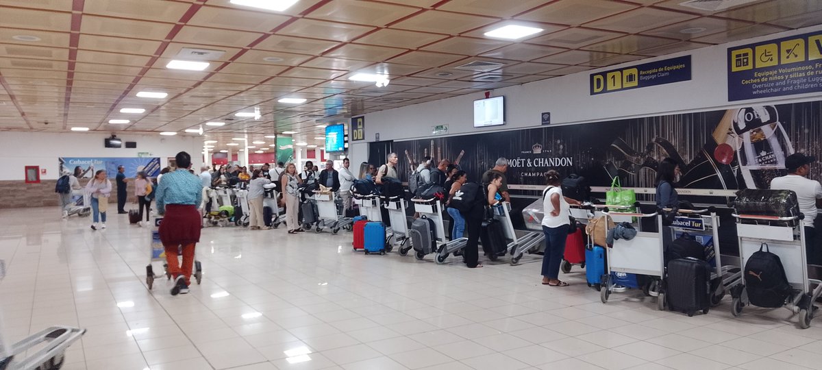AduanaJM's tweet photo. Los canes de la @AduanaJM son la primera línea de defensa en nuestras fronteras. 🐕‍🦺✈️

Su olfato experto y la preparación constante de sus instructores garantizan la detección de drogas y explosivos, protegiendo a #Cuba desde el principal puerto aéreo del país. 

#AduanadeCuba https://t.co/XO9V0jveXV