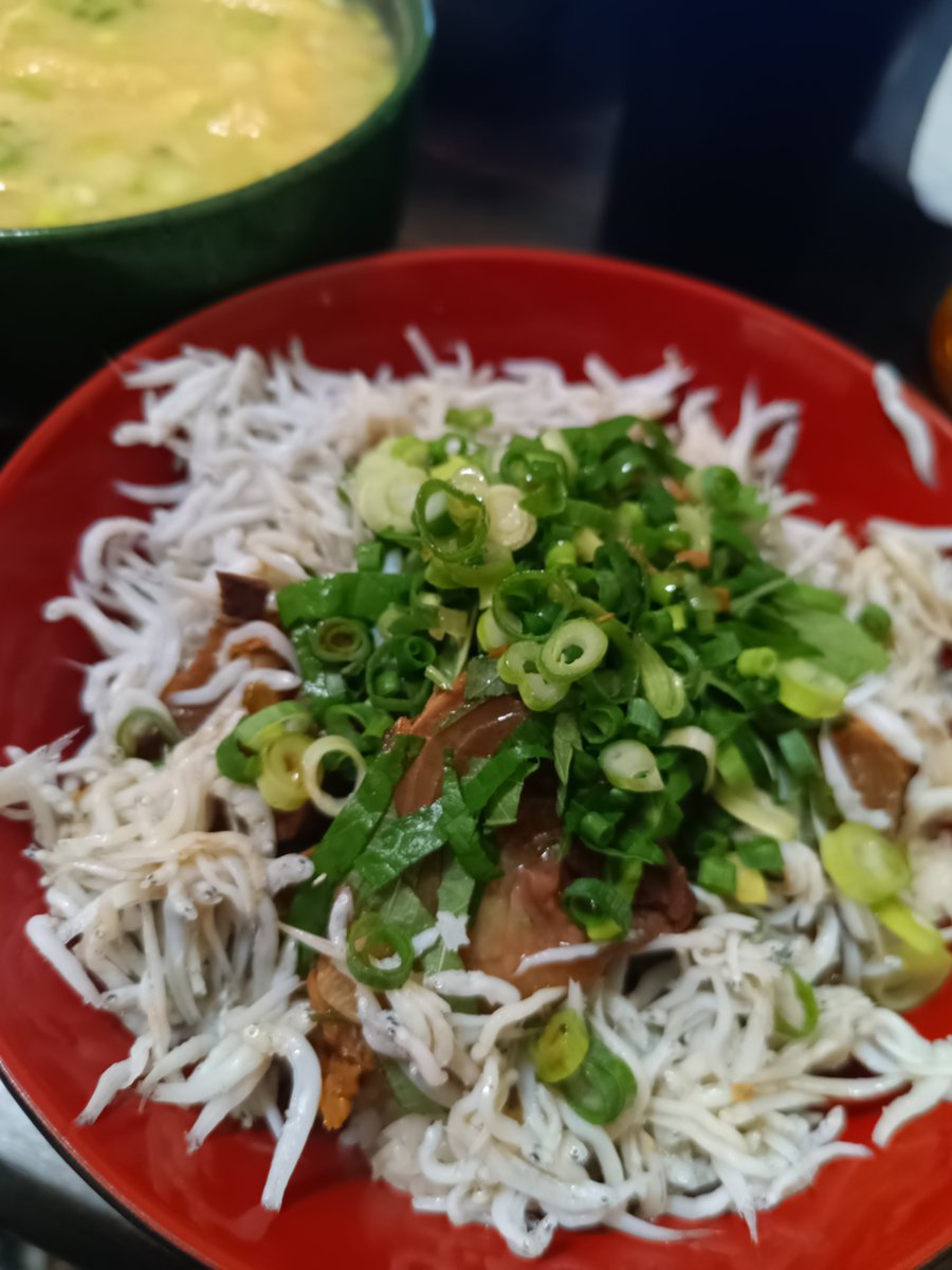 madmax8v's tweet photo. 雨来る前に帰ってこれたぜ😁

じゃ、メシ食いますか。

2発目漬けカツオと油揚げのお味噌汁👍
ついでに冷凍しらすとか乗っけて食おう。

じゃ、いただきます！🙏

うん！

美味みが渋滞してて味がわかっねぇ🤣
でも美味いってぇのは確実だ👍🤘 https://t.co/NirA9hWZKr