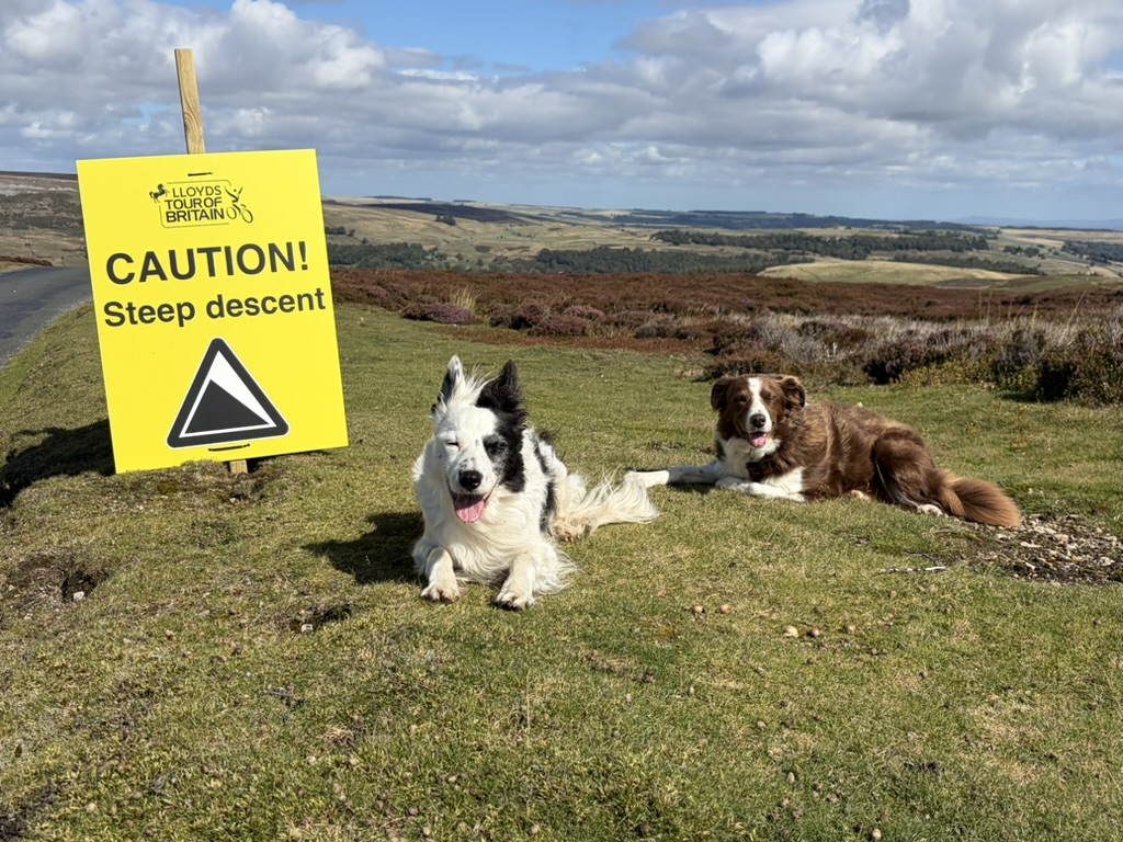 ForrestMark's tweet photo. I'm lining up music this morning in praise of the weekend walk. Feel free to lace up your boots and join in. Yesterday afternoon it was a march up the hill behind the house for us to watch Stage 4 of the Tour of Britain. The girls are big cycling fans. 6.30-9am @BBCRadio3 https://t.co/Ay3im56TzR