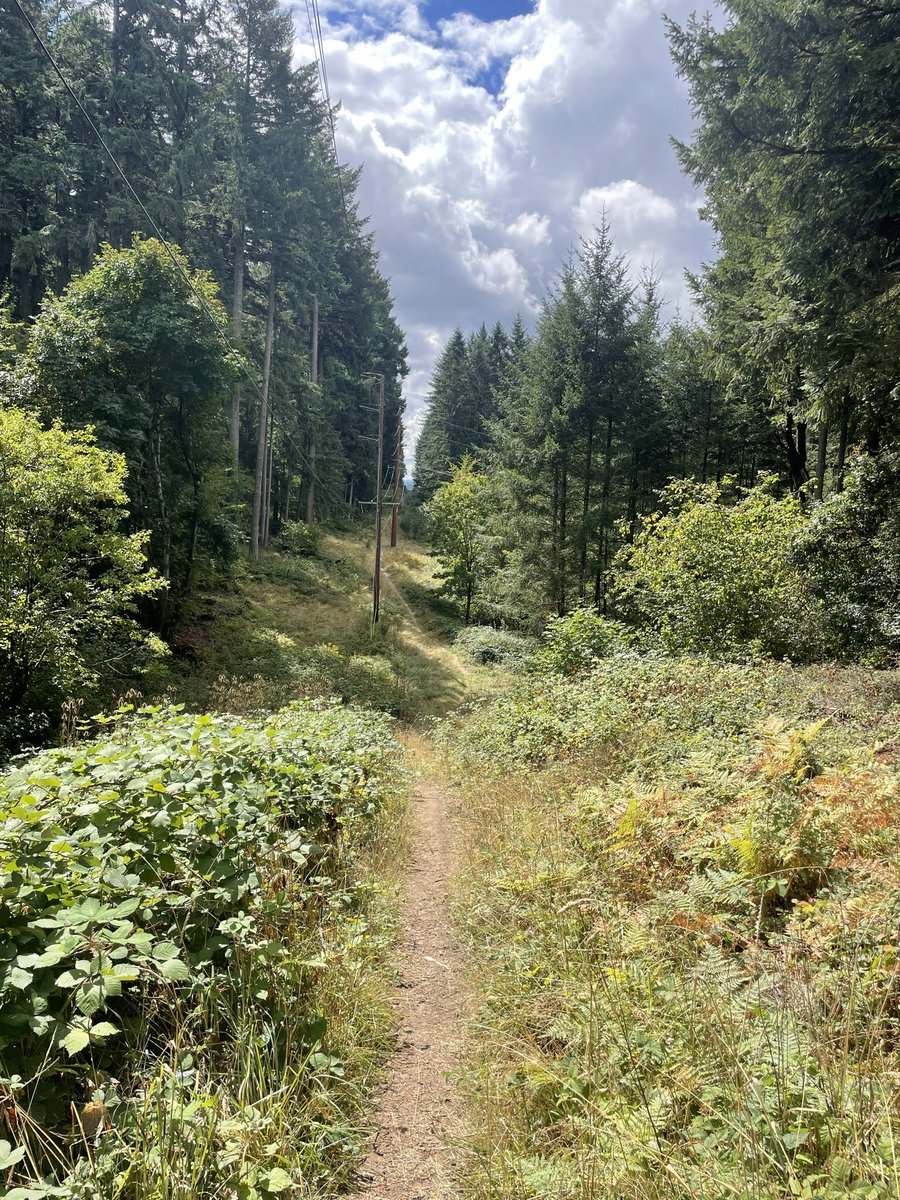 zemyyna's tweet photo. Today I walked 5 miles in the woods https://t.co/4AcXqtGLxE