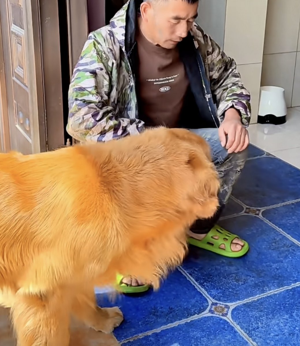 ymnlryry2's tweet photo. Nothing beats coming home to a wagging tail and a loyal friend by your side  Pet days = best days ever! https://t.co/RcOVfq396v