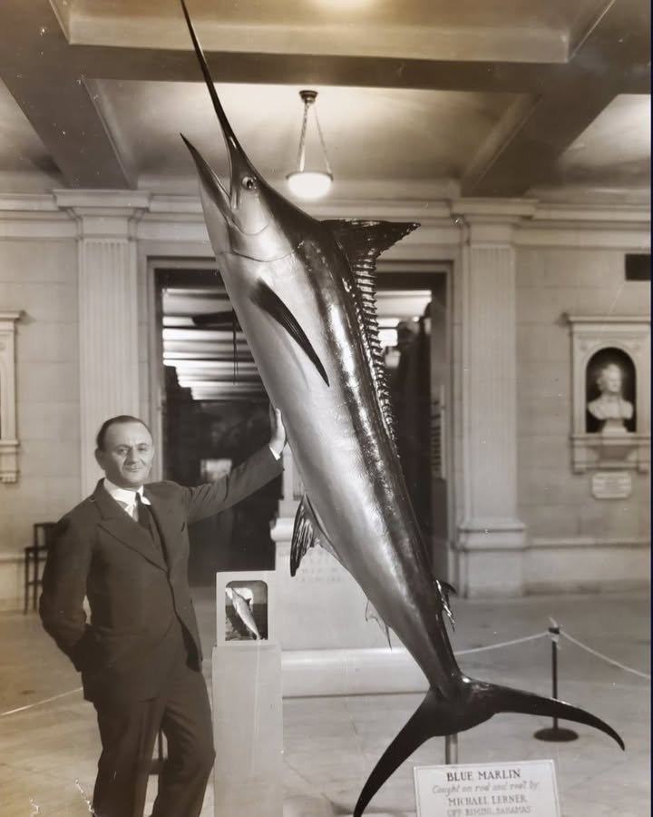 TheIGFA's tweet photo. Happy birthday to IGFA founder, Michael Lerner! 

Michael Lerner's towering contributions to sportfishing rank among the greatest of the early pioneers of big-game angling. In the 1930's and early '40s, Lerner and his wife, IGFA co-founder Helen, fished for blue marlin at Bimini, striped marlin and swordfish off Chile, black marlin in Australia and New Zealand, swordfish off Peru, and tuna off Nova Scotia. 

Lerner's distinction among all other greats of angling can be summed up in one word: science. Lerner developed a relationship with the scientists of the American Museum of Natural History, and over the next six years, the Lerners organized, financed, and led expeditions to Cape Breton, Bimini, Australia, New Zealand, Peru, Chile and Ecuador. The expedition parties included museum scientists and provided unprecedented opportunities to study fresh, whole specimens of large game fish. The knowledge gained through these pioneering trips broke new ground in the scientific understanding of saltwater game fish and became an invaluable resource to scholars, anglers, and conservationists around the world. 

He was decorated with the highest honors by the governments of Nova Scotia, France, Chile, and the United States. He received an honor, the first Gold Medal Angler's Award, from the International Oceanographic Foundation for being the "sport fisherman who has accomplished the most for marine science.” 

From the IGFA’s founding in 1939 to his death in 1978, Michael Lerner was the heart and soul of the IGFA. Without Michael Lerner’s energy, vision, financial capacity, and angling reputation, the IGFA would never have been formed. 

Hundreds of photos, videos, and written accounts of Lerner's travels and the early days of the IGFA are now being digitally preserved for the first time as part of the E.K. Harry Digital Archive, a multi-year effort to safeguard the world’s most comprehensive collection of sportfishing history. His letters and millions of assets like them will soon be searchable for the first time. 

Click the link to learn more or support the project: https://t.co/lGwwgZtVpD