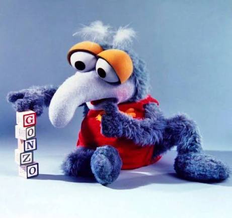 fruitpibble's tweet photo. baby gonzo means so much to me https://t.co/mxR1KnM5JO