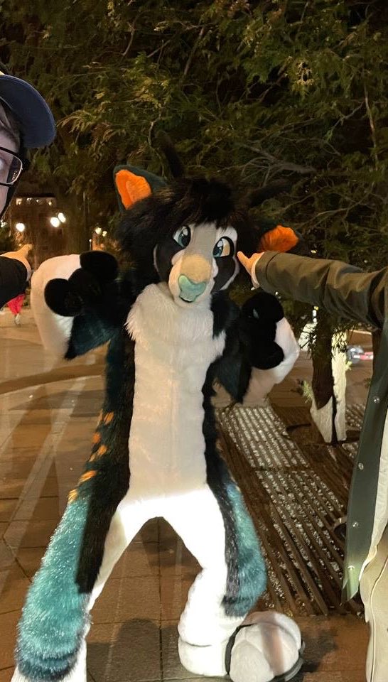 SoftieShep's tweet photo. Hey guys still trying to sell my deer fursuit. I’m open to offers (but not trades) and payment plans. More info in link bellow. Retweets appreciated https://t.co/NgWSLaJLwj