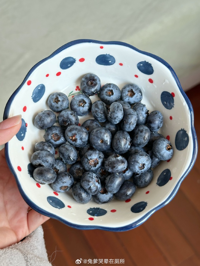 61_Sena2000's tweet photo. Just tried the premium wild blueberries from our local orchard—plump, juicy, bursting with natural sweetness, no added sugar needed! Perfect for morning bowls or snacking. https://t.co/DnZHbRzZ1Q