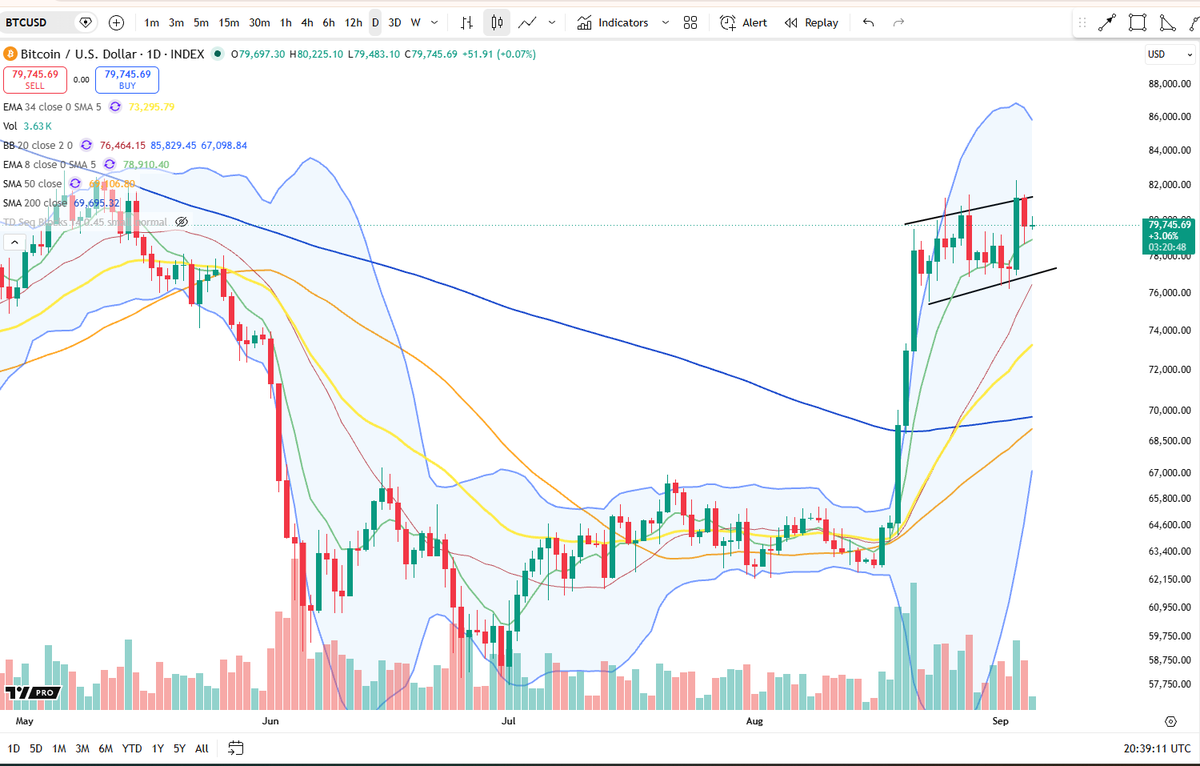 BigCheds's tweet photo. bitcoin:native in addition to megaphone and ascending right angle broadening wedge, price action can also be viewed as a rising bull flag on daily https://t.co/ibwHQIpeHF