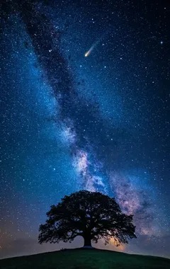 JohnWilsonfvm's tweet photo. I don’t want to always have to prove why I matter. Sometimes I just want someone to make me feel like I matter without me having to ask for it. https://t.co/blhHwsHe3a