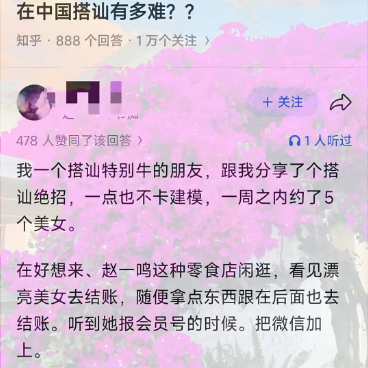 D师 的图片 1