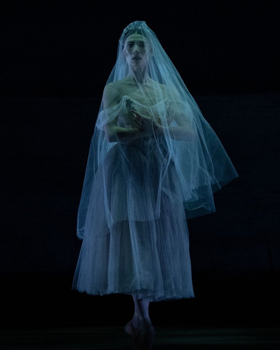 xjingolasx's tweet photo. do you guys see it????? PLS I HOPE ITS A VEIL HALO https://t.co/KQkN7lhJiq