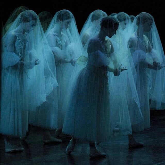 xjingolasx's tweet photo. do you guys see it????? PLS I HOPE ITS A VEIL HALO https://t.co/KQkN7lhJiq
