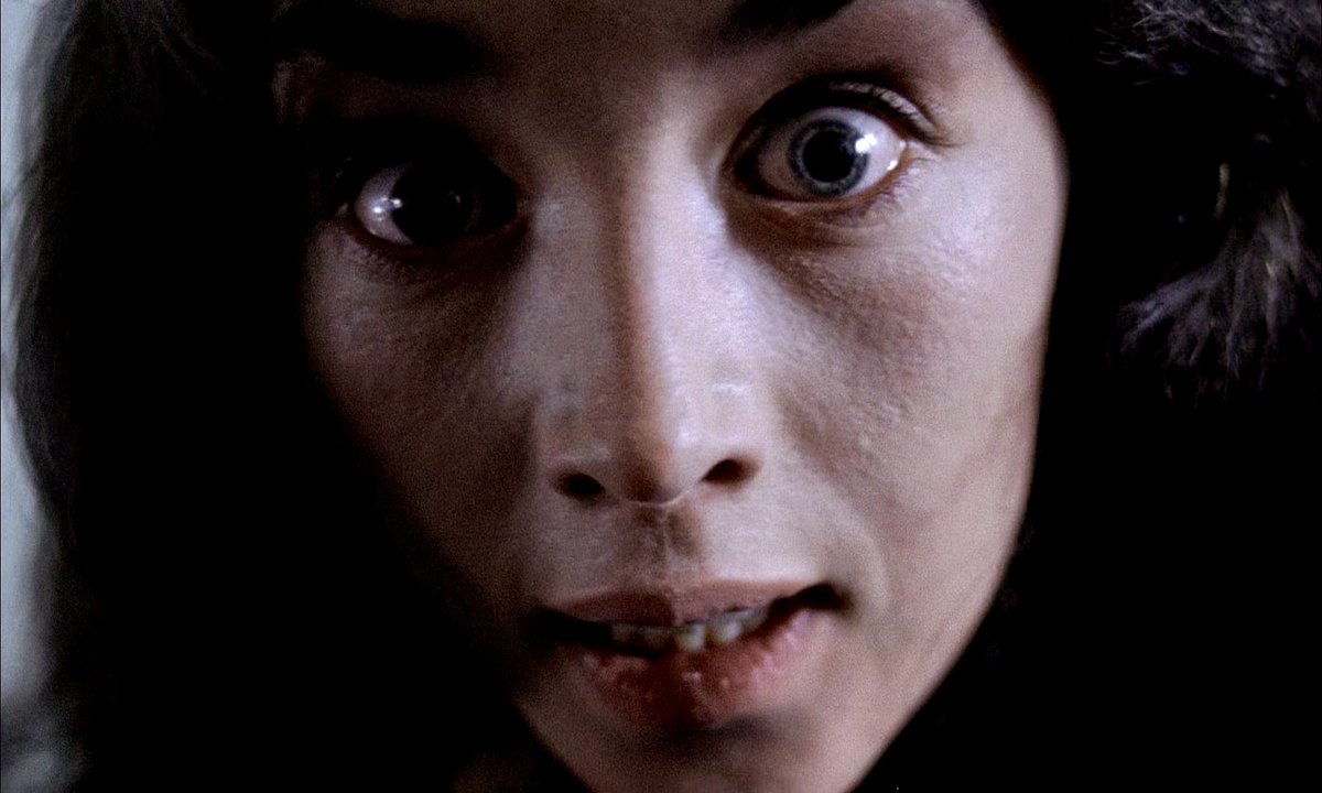 SAINTBERGMAN's tweet photo. isabelle adjani’s eyes in possession (1981) https://t.co/7hDVmMdK5T