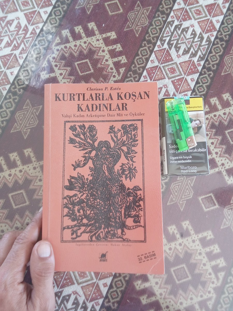 eloglundan's tweet photo. Bu kitabı da okusaydım tam jinikçi olacaktım sewgilime dedim gel evcilik oynayalım öyle rahatladım https://t.co/HtARMLpdxQ