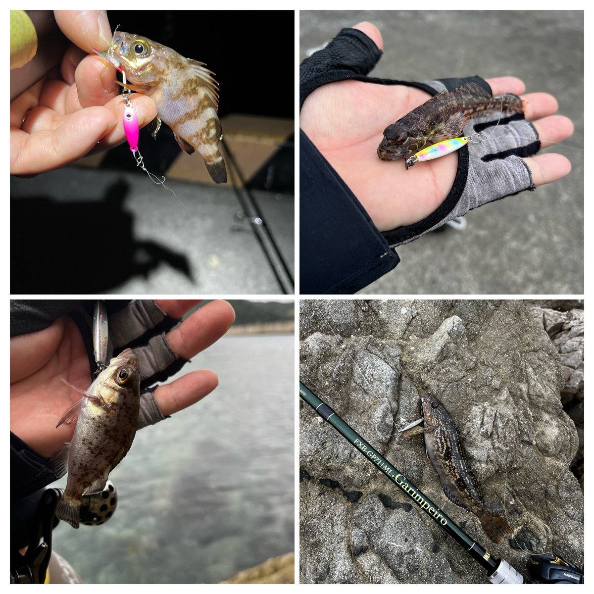 kijinabe2's tweet photo. 餌は使わない派
アジ調査に行くも回遊なし。
仕事終わりの釣行は眠気で集中力が続かない…
帰りはラーメンで〆
#爆釣ジグ
#ナノアジメタル
#ガリンペイロ711 https://t.co/4pr79LrvsV