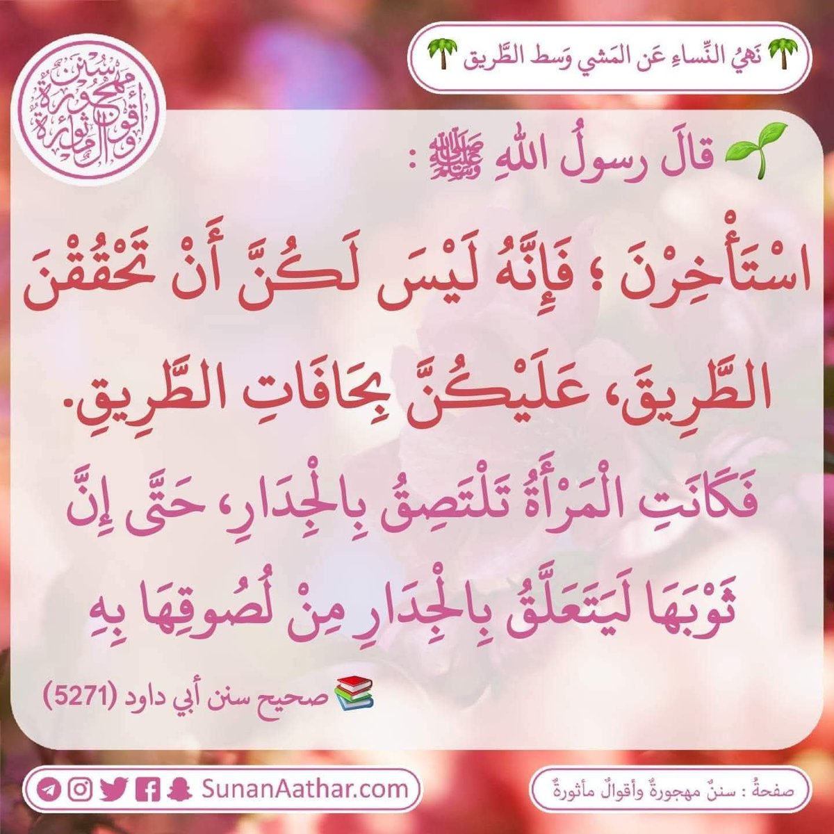 Sunanaathar's tweet photo. 🌴 *نَهيُ النِّساءِ عَن المَشي وَسط الطَّريق* 🌴
------------------------
📜  《 سُنَنٌ مَهجورةٌ وأَقوالٌ مأثورةٌ 》
https://t.co/c3MUmMgpVS 

قناة تلغرام :
https://t.co/YaHVyiqf2N
قناة وتس أب :
https://t.co/ATv3C0MUdL https://t.co/AczUWo6lOP