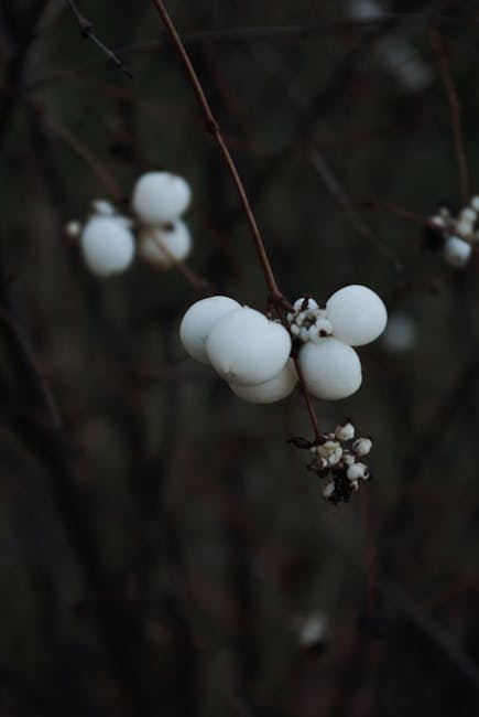 LaunaLindswm's tweet photo. كان المريخ يحتوي في على أنهار وبحيرات، دليل الماضي وهو على احتمال وجود حياة ميكروبية. hoa rietz https://t.co/FxB7oOHDID