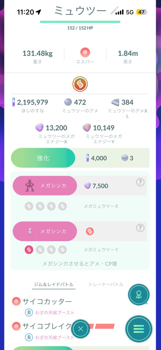 shake_game_m's tweet photo. メガレベルのボーナスありますっけ？

(全て11時～の20分で捕まえた個体)
#ポケモンGO
#ミュウツー https://t.co/s0rzhmAWyK