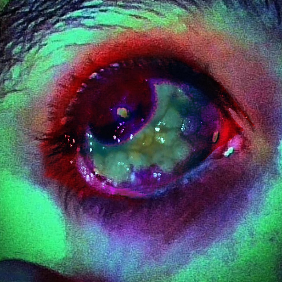 Psychdyk3's tweet photo. I dont know how easy to view i can make this shit without getting nuked so yall get this
There's also a much more goofy thing i made in the comments 
#988twt #shtwt #slittwt #ouchietwt #sharmtwt #beanstwt https://t.co/nsBiLKfXnf