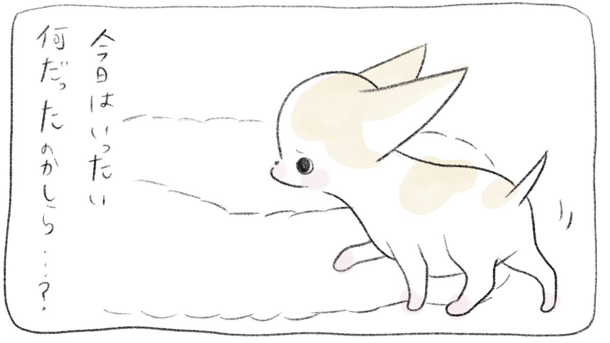 hello_kiraco's tweet photo. ハロー！きらこちゃん                    
no.91
#漫画が読めるハッシュタグ 
#チワワ 
#チワワ好きさんと繋がりたい https://t.co/YzaRxpLamH