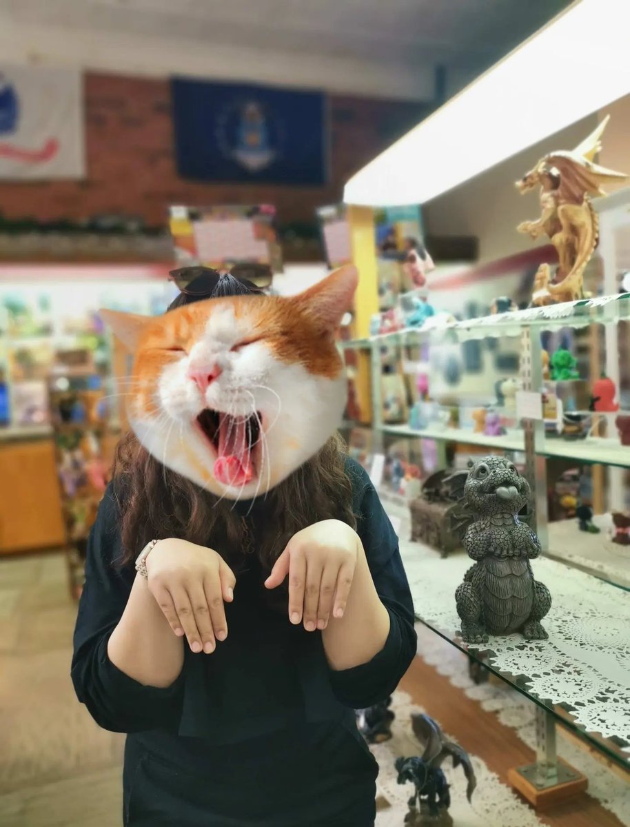FatmaGunesy7de's tweet photo. Just finished a stand-up set where the only person who didn’t laugh was a stray cat in the front row. Update: The cat’s now my new hype man.， https://t.co/3ZRhlMxADB