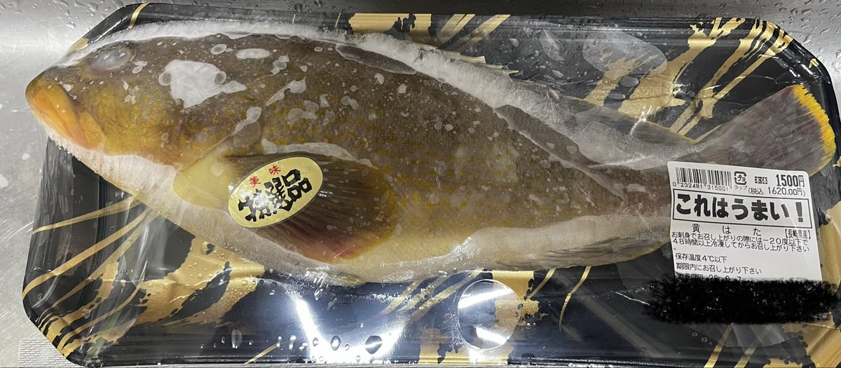 yamabu2's tweet photo. 昨日ゲットした黄ハタを捌いてく！ https://t.co/iEFy8Jx0lH
