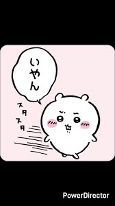 worrysyoro's tweet photo. @hicha_logic えっち🩷 https://t.co/hSFrtSD6DR