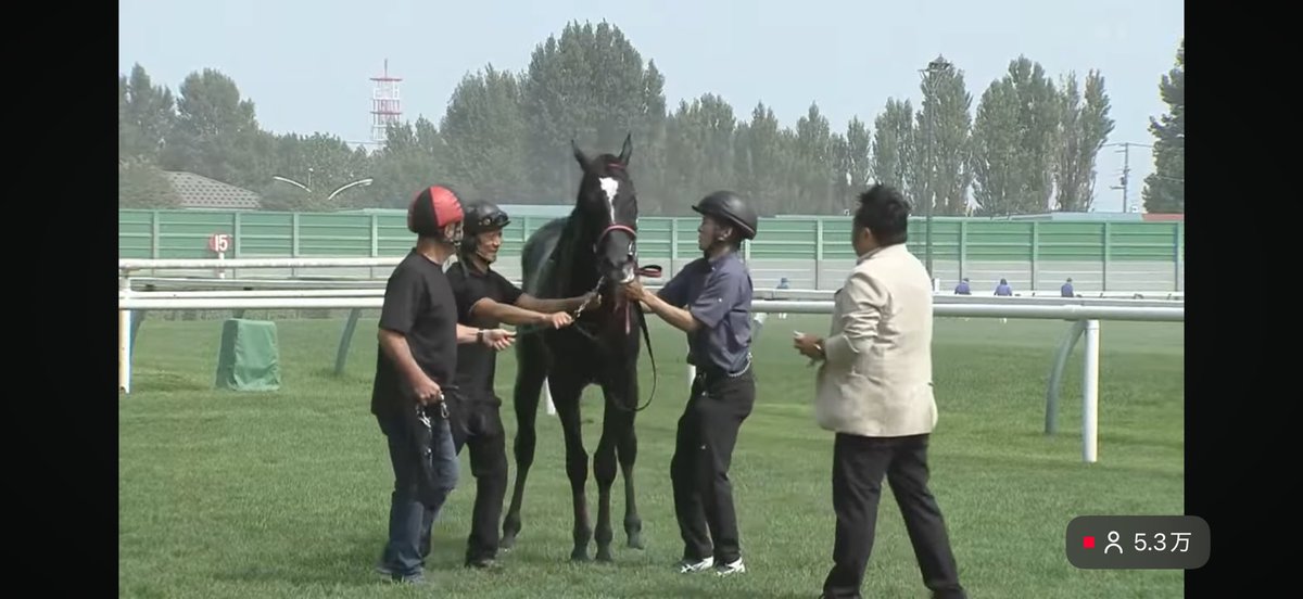 pepepe_young's tweet photo. 昨日のショウナンガレオン勝ち上がりも嬉しいが、それ以上にこのマイネルリコルディの勝ち上がりがとてもうれしい🥹

青木厩舎、関係者の皆さん、おめでとう御座います🍾🍾

#マイネルリコルディ https://t.co/CM8CJqD9Pm