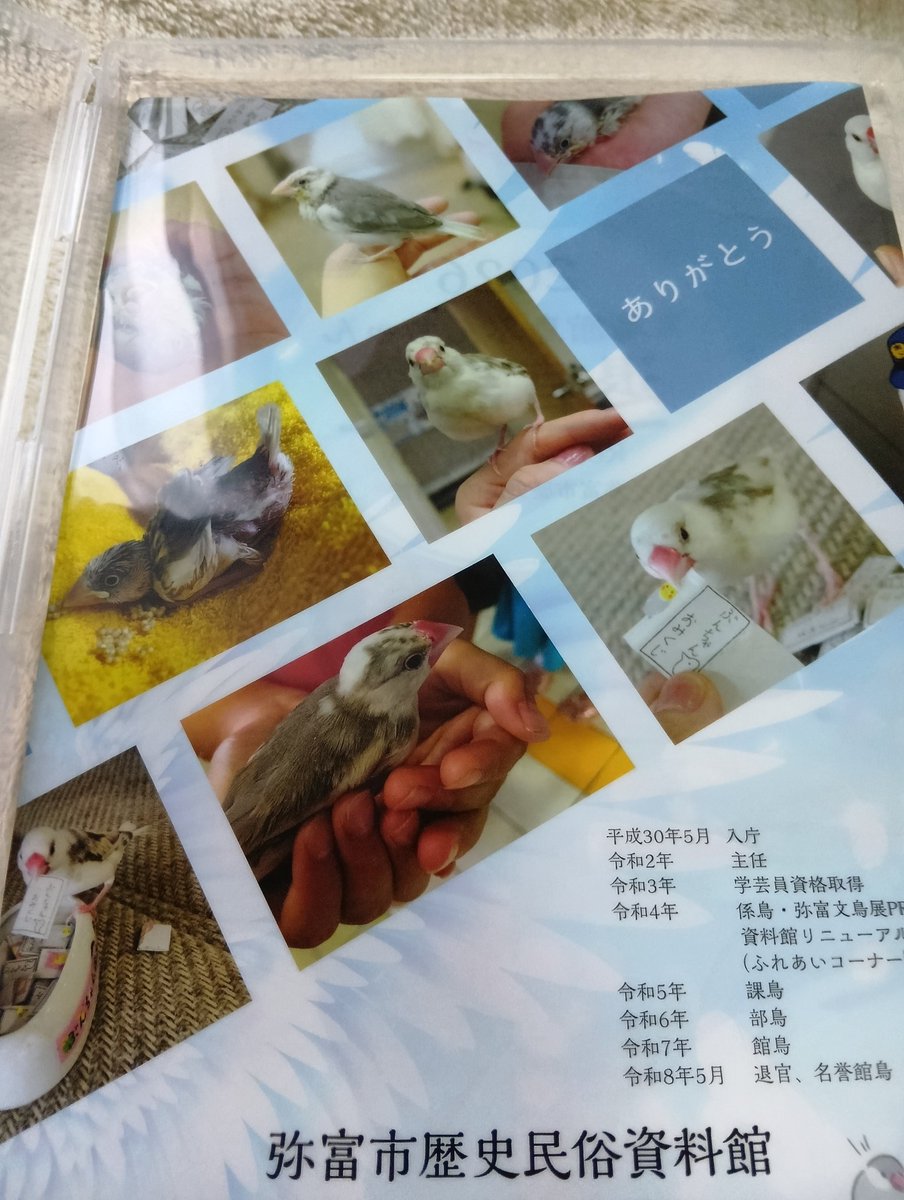 cpk1f's tweet photo. 退官式の時に頂いた
ぶんちゃんの退官記念ファイル🙂‍↕️
いつ見ても可愛い💕🥰
#ぶんちゃん
#白文鳥
#弥富歴史民俗資料館
#退官式 https://t.co/dRm6nj3Fg4