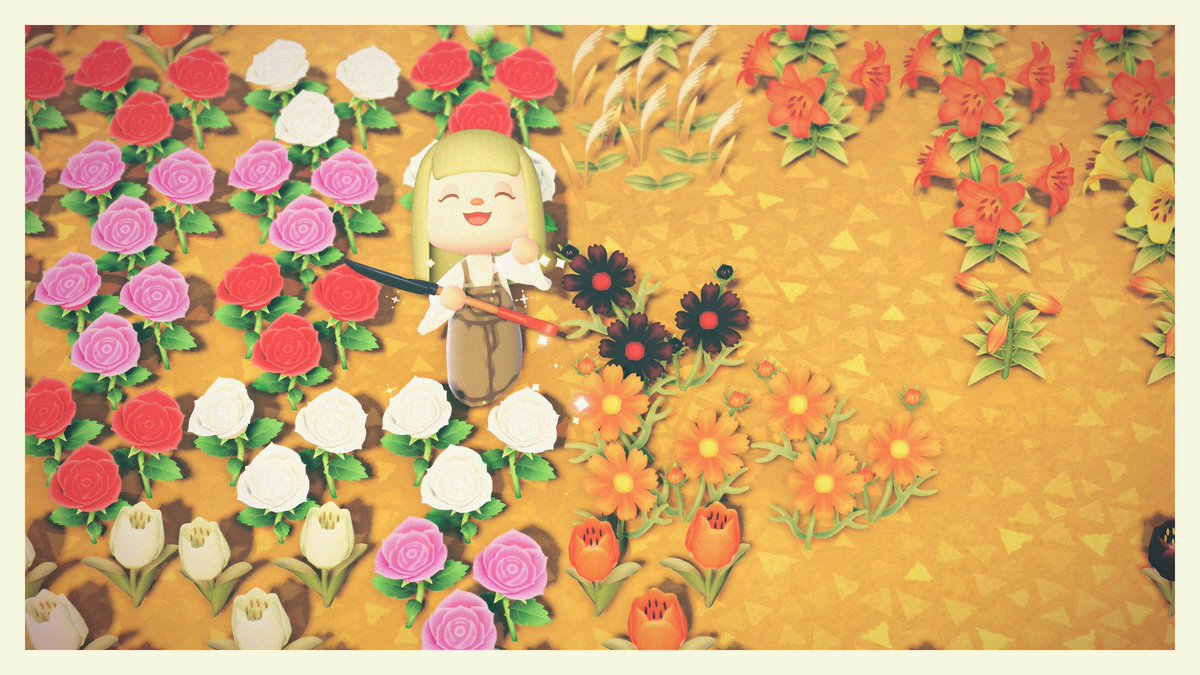 0ml8f's tweet photo. 1つぽつんと何気に咲き始めてた黒コスモス❁⃘ https://t.co/wSgE3BzsXv