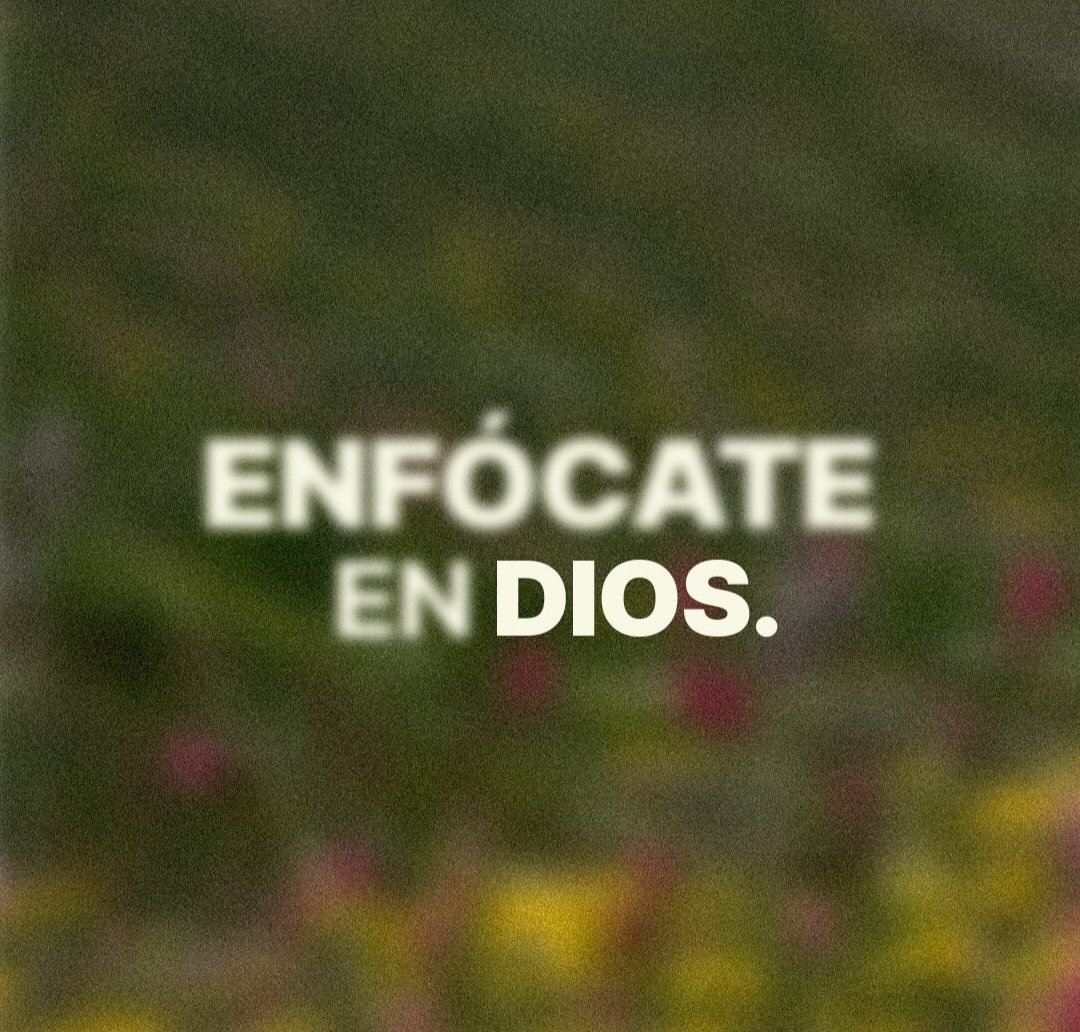 elsiervo__'s tweet photo. https://t.co/Gx2JpEm5Xs