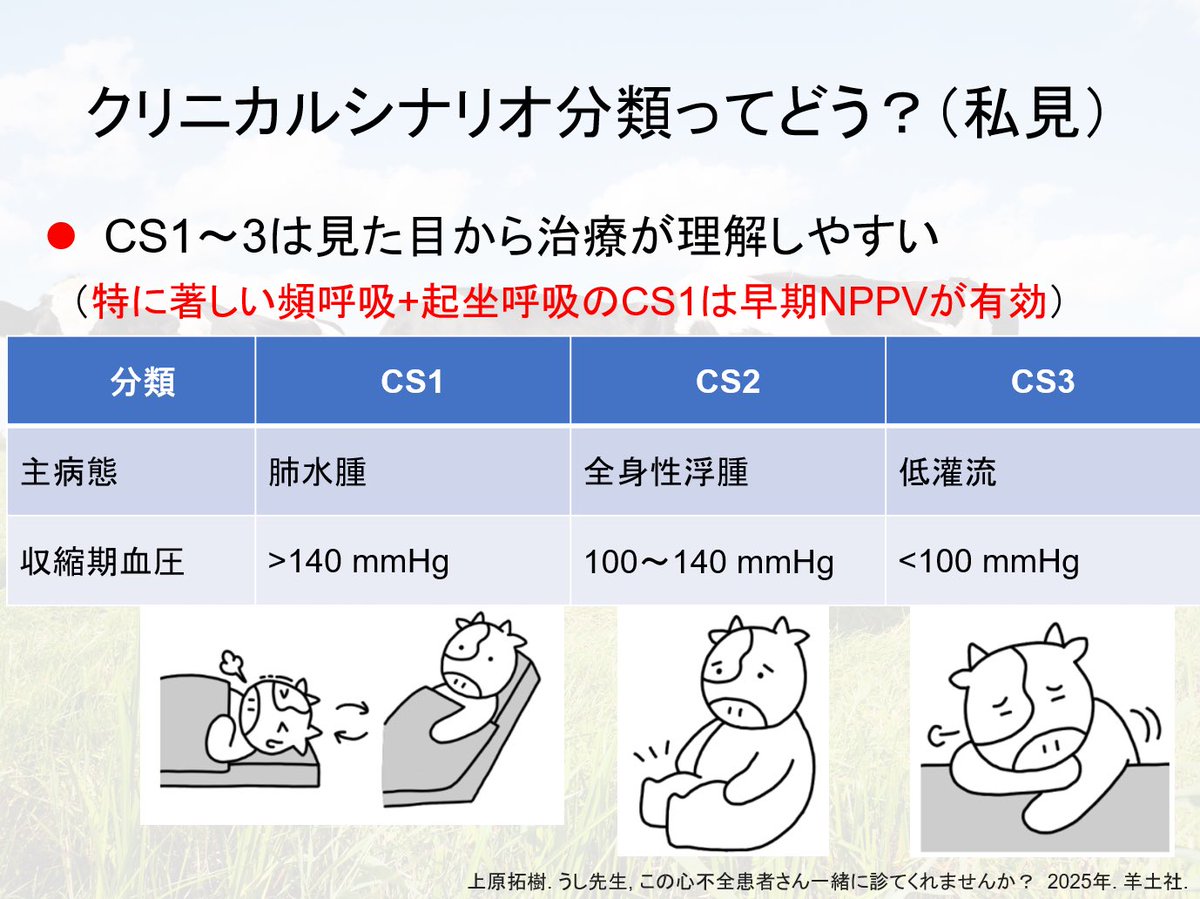 ushi_sensei's tweet photo. 【クリニカルシナリオ(CS)分類はなぜなくなった？】

CS分類がガイドラインからしれっとなくなった背景を考えてみました。CS分類にはめるのではなくうっ血と低還流それぞれの評価が重視されてます。ただ、CS1の特徴的な起座呼吸に対する迅速なNPPV(+硝酸薬/利尿薬)も大事だと思います🐮 https://t.co/PrdhvneYpa
