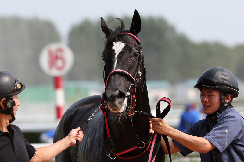 gallop_keiba's tweet photo. 札幌2R、芝2000mの2歳未勝利戦は4番人気 #マイネルリコルディ が勝利！ 4戦目で勝ち上がり！ https://t.co/KmTV4fw9YW