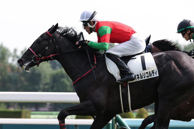 gallop_keiba's tweet photo. 札幌2R、芝2000mの2歳未勝利戦は4番人気 #マイネルリコルディ が勝利！ 4戦目で勝ち上がり！ https://t.co/KmTV4fw9YW