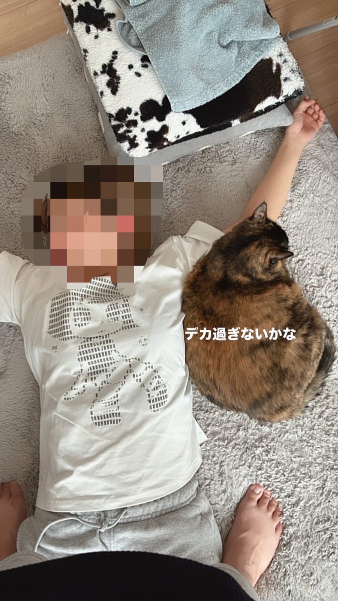 LfNe6's tweet photo. 彼女の家の猫デカすぎる https://t.co/P4xQCH2wb2