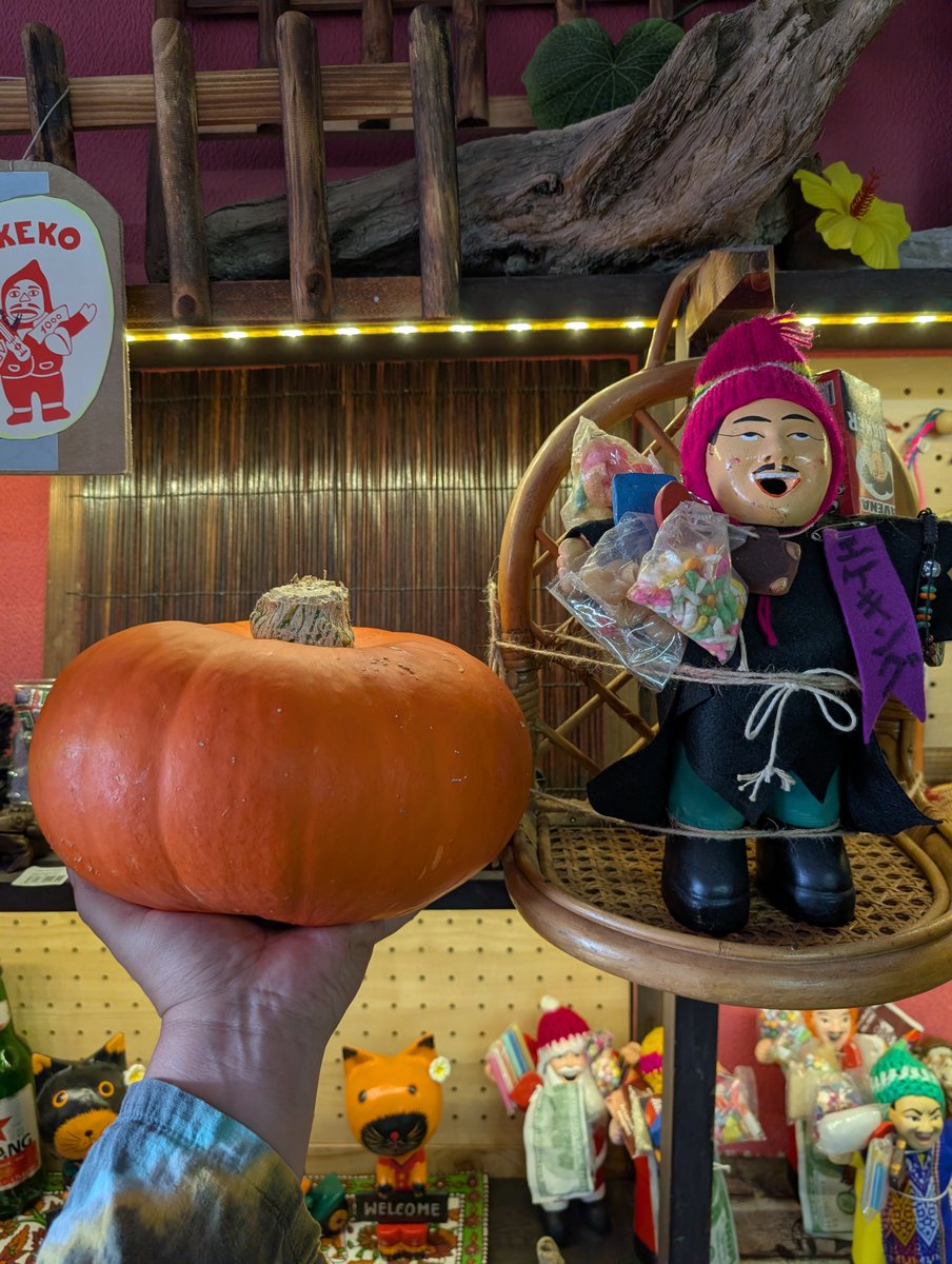 BESHITALION's tweet photo. べしたらいおんOPENです
あさ金山町行ってきた🎃

今日は18時00分までです https://t.co/T2XomFt4ST