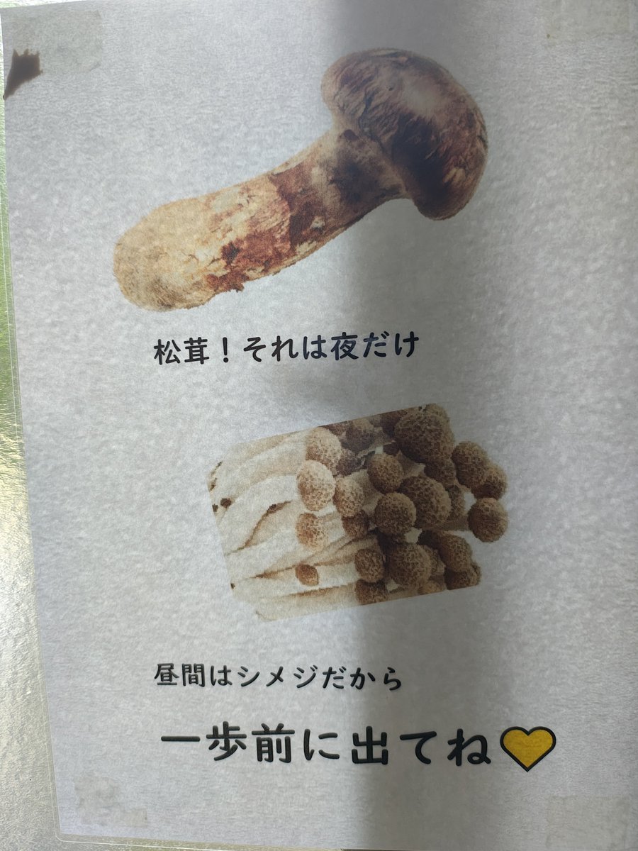 kingo106's tweet photo. そんなに面白くはないけど https://t.co/8FvLNwc90S