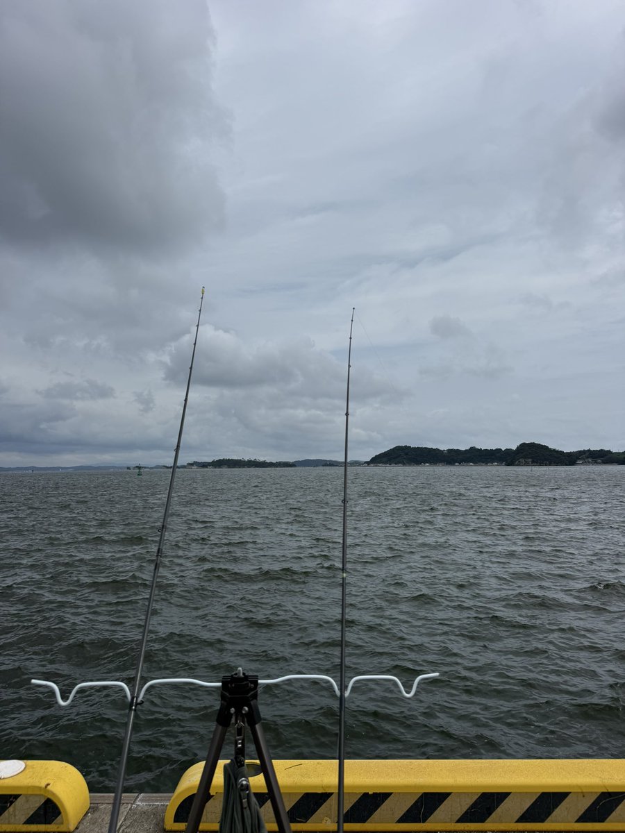 condorian_yuga's tweet photo. 松島湾を望む埠頭で釣り

良いサイズのカニが釣れました

#蟹座 https://t.co/kMwBh98ceB