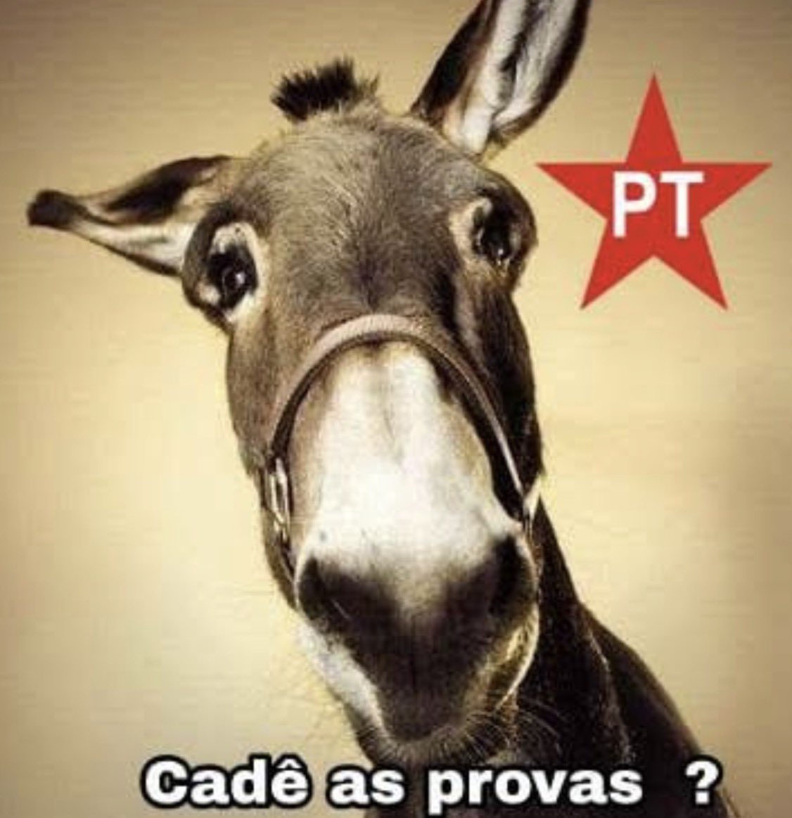 EdsonAlmeidade7's tweet photo. “acuse-os do que você faz, xingue-os do que você é”, conselho que os comunistas seguem à risca desde há um século. 
🚨 

#olavotemrazao 

extrema esquerda, lulismo e petismo.
🚨 
O Cabeça de Ovo acusou formalmente o ministro André Mendonça de cometer os crimes de improbidade administrativa, abuso de autoridade e crime de responsabilidade. 
🚨 
O pedido de investigação foi encaminhado ao presidente do Supremo Tribunal Federal (STF), ministro Edson Fachin. 
🚨 
Detalhes das AcusaçõesDe acordo com o despacho de 20 páginas assinado por Moraes dentro do Inquérito das Fake News, as acusações contra André Mendonça envolvem: 
🚨 
Motivações políticas: Direcionamento de investigações por motivos pessoais e políticos contra o próprio Moraes e contra o presidente do Senado, Davi Alcolumbre. 
🚨 
Abuso na produção de provas: Ordem ilegal para que a Polícia Federal fizesse diligências e investigações com o objetivo de levantar provas contra Alexandre de Moraes. 
🚨 
Interferência na PF: Quebra de imparcialidade judicial e interferência indevida na atuação da Polícia Federal durante as operações Sem Desconto e Compliance Zero. 
🚨 
Irregularidades em delações: Condução inadequada e questionamentos irregulares em tratativas de acordos de colaboração premiada ligados ao escândalo do Banco Master e a fraudes no INSS. 
🚨
#prevost #PapaLeónXIV #PapaLeãoXIV #pope #papa #FlavioPresidente2026 #Eleições2026 #FlavioBolsonaroparaPresidentedoBrasil2026 #brasileirão2026 #cazétv #Eleições2026