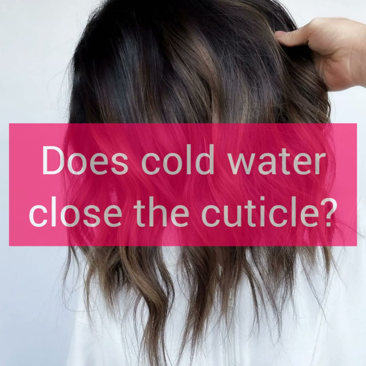 MarcosPerformer's tweet photo. Hair cuticles don’t open and close like doors. “Open” cuticles are lifted cuticles, a sign of damage. Conditioning can temporarily smooth them, but prevention matters: condition before brushing, use heat and UV protection, and handle wet hair gently. https://t.co/JOqMPk8yjq