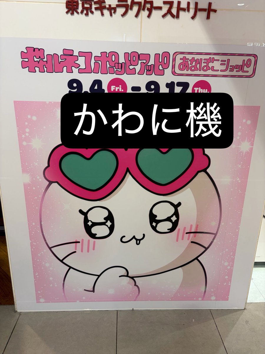 mintloki's tweet photo. 本日も生存確認ありがとうござました！ギャルも添えて…( ˇωˇ )雨に気をつけてお過ごしくださいましね！蒸着！！！おいしーごはんが食べたいニン https://t.co/VqyBfTjmEf