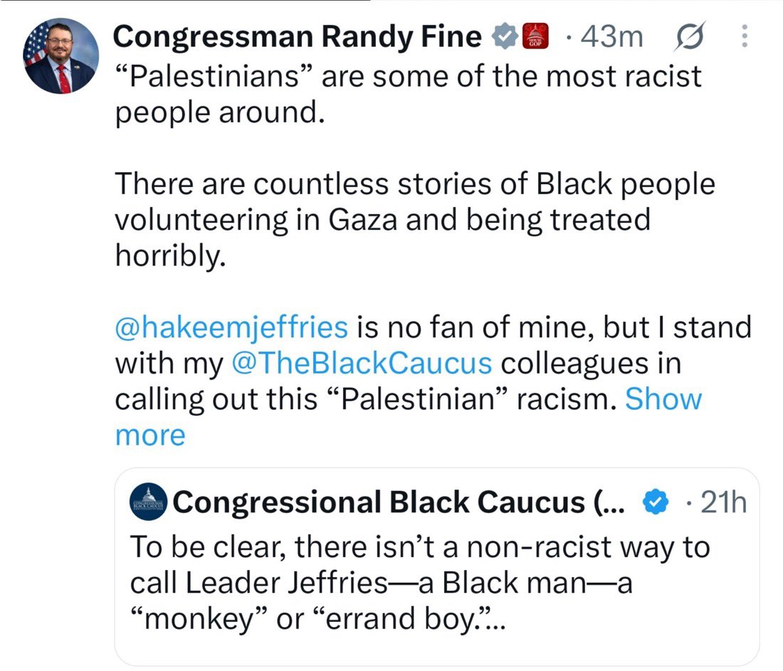 dontsippy's tweet photo. That video is being weaponized by bad faith actors to push anti-Palestinian propaganda. She’s half Palestinian and half Nigerian, but people are reducing her to her Palestinian identity to fit their narrative. Nothing will ever change how I feel about the crimes committed against Palestinians. One person never speaks for an entire people. Rula doesn’t speak for every Palestinian, just as Randy Fine doesn’t speak for every Jewish person.