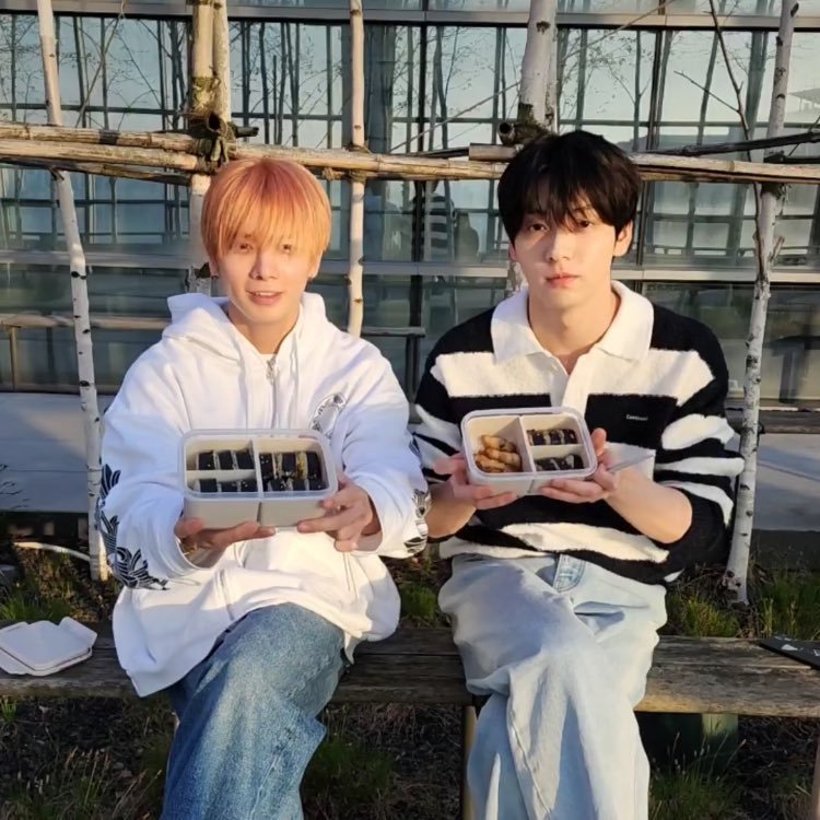 tzn_zal2's tweet photo. 신뢰집사님 고양이 동글하게 잘 키워주셔서 감사함니다 https://t.co/xrCSCrnL8K