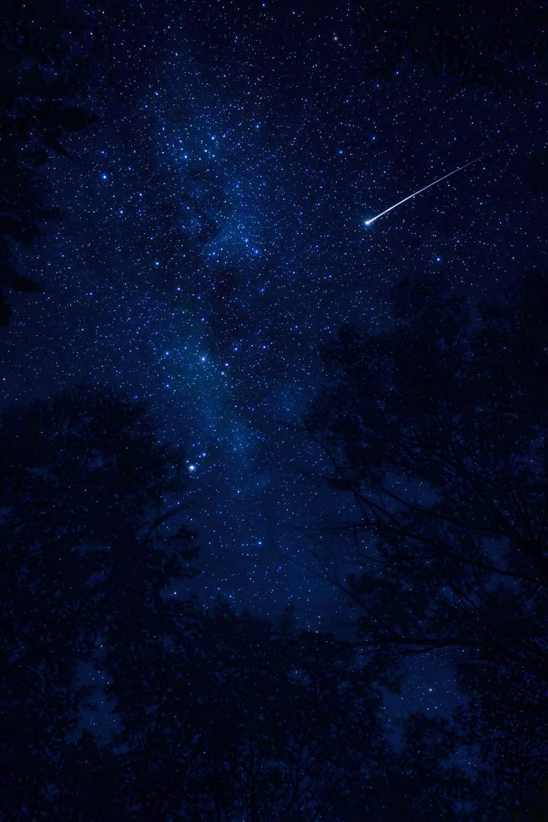gardenofcolours's tweet photo. starry night https://t.co/EjB8OW7e01