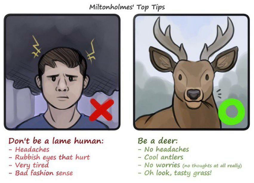 deershouldnt tweet picture