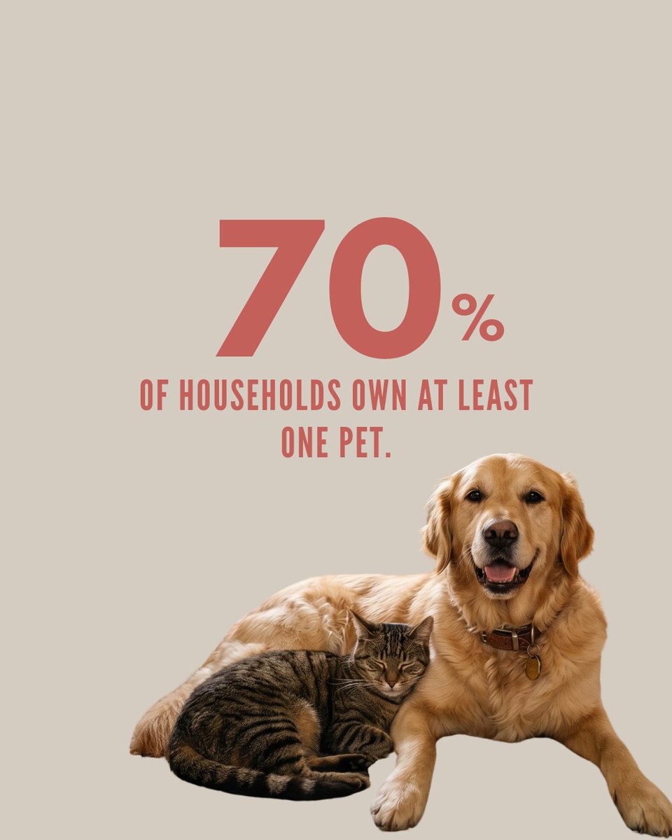 SKBrown_Realtor's tweet photo. Got a furry family member? You’re in great company!
As of 2026, pet ownership remains at an all-time high, with roughly 70% of households owning at least one pet.
#PetLove #MyPet #PetsAtHome #HomesWithPets #FurryFriends https://t.co/hWsZVdWirV