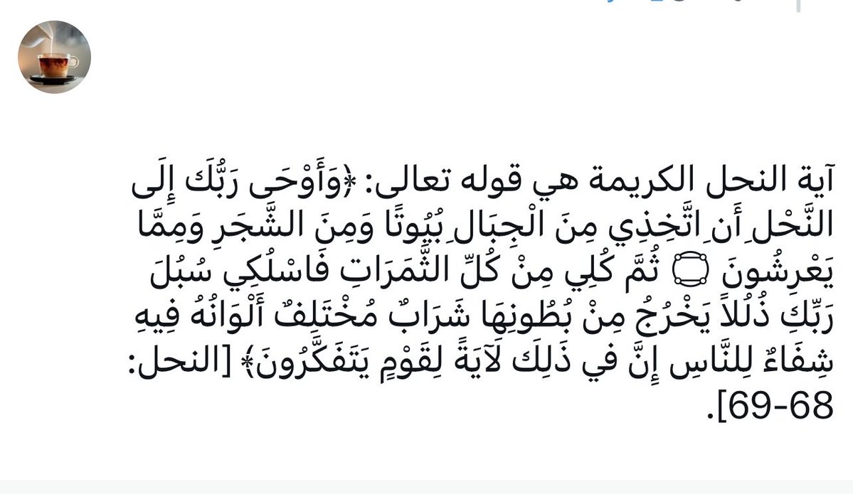 ITeaAndMilk's tweet photo. @xraykh_ سبحان الله العظيم https://t.co/TxnnVGtFfR