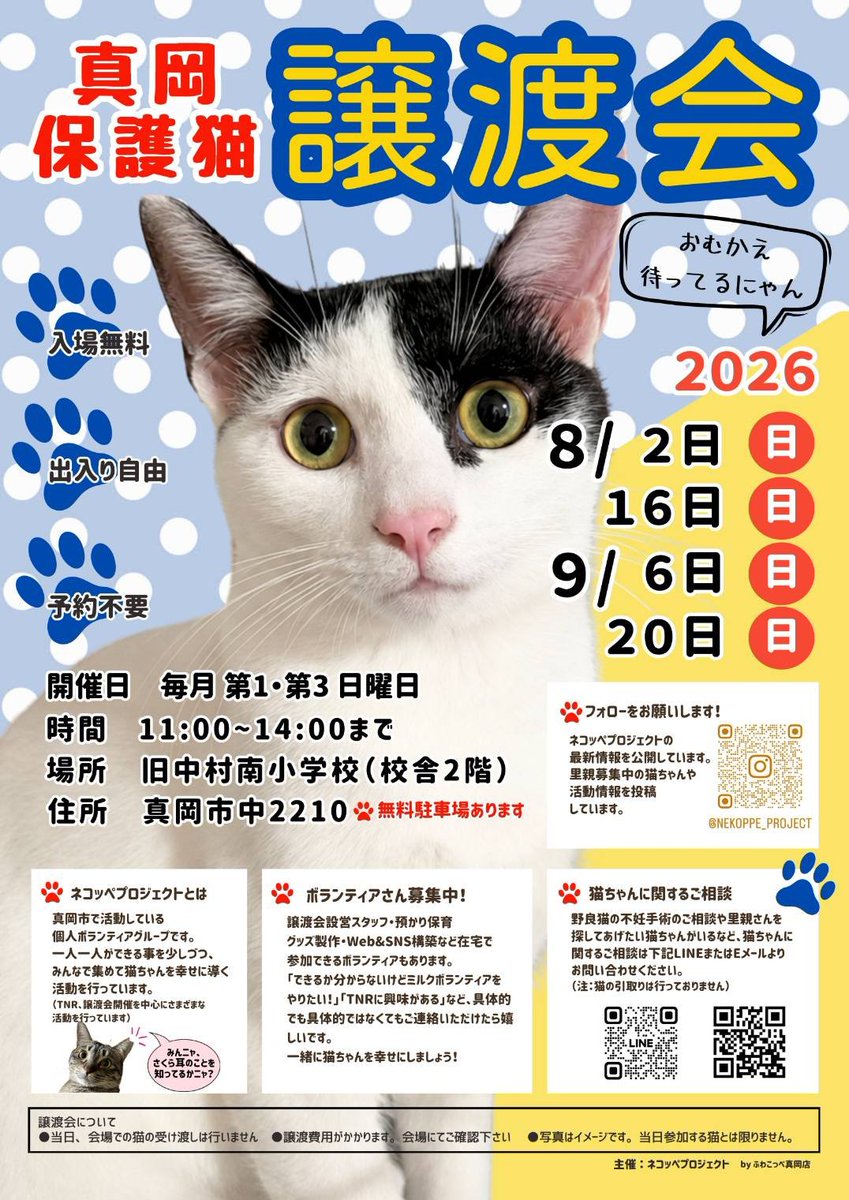P5Ylle6okT1636's tweet photo. 本日は真岡保護猫譲渡会定期開催日です。あいにくのお天気ですが、会場での保護猫参加数は過去イチの猫日和です！ぜひ可愛い保護猫達に会いに来ていただけると嬉しいです😸
#保護猫譲渡会 #栃木県真岡市 https://t.co/SGzy3ORSnL