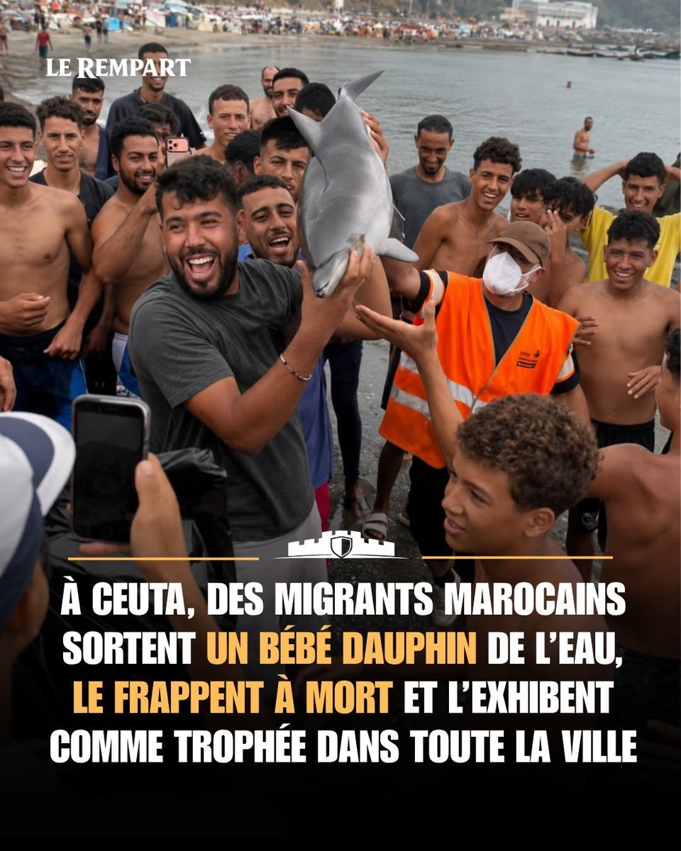 butch6881's tweet photo. @SeaShepherdFran Votre idéologie de gauchistes dégénérés passe avant la défense des animaux. 
En admettant que ça soit vrai, le sadisme de ces barbares est intolérable.
J'espère que vous ne serez plus subventionnés et que vos donateurs s'abstiendront.
HONTE À VOUS, vous salissez la cause animale. https://t.co/Vm94Gf3P99