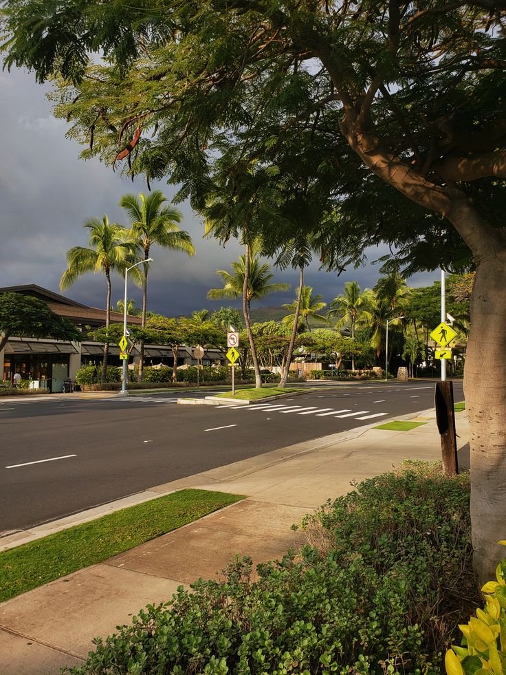 echoesofworld's tweet photo. Hawaii 🌴 https://t.co/uYscH2WN8i