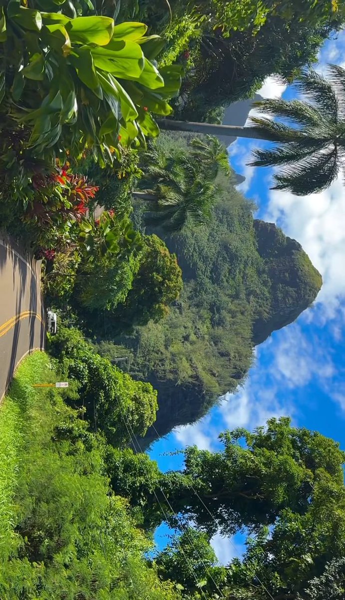 echoesofworld's tweet photo. Hawaii 🌴 https://t.co/uYscH2WN8i