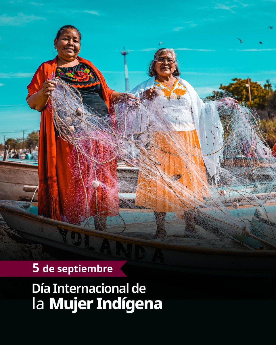 Conapesca's tweet photo. 5 de septiembre | Día Internacional de la Mujer Indígena

Reconocemos la participación y el papel fundamental de las mujeres indígenas en el desarrollo de sus comunidades y la preservación de sus tradiciones y culturas. https://t.co/QqSxfzU1SH